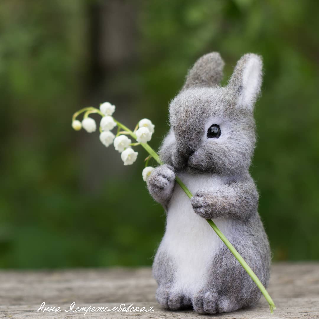 ตุ๊กคาใยขนแกะ