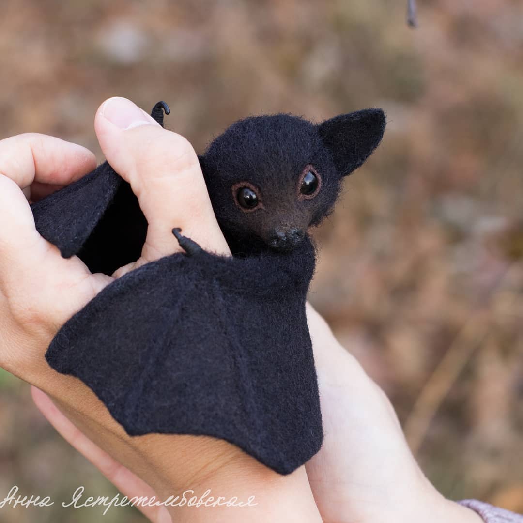 ตุ๊กคาใยขนแกะ