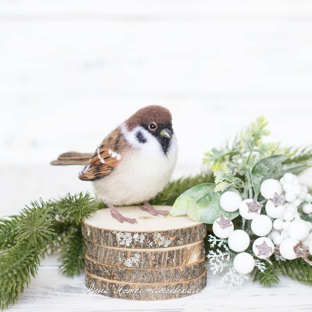 ตุ๊กคาใยขนแกะ