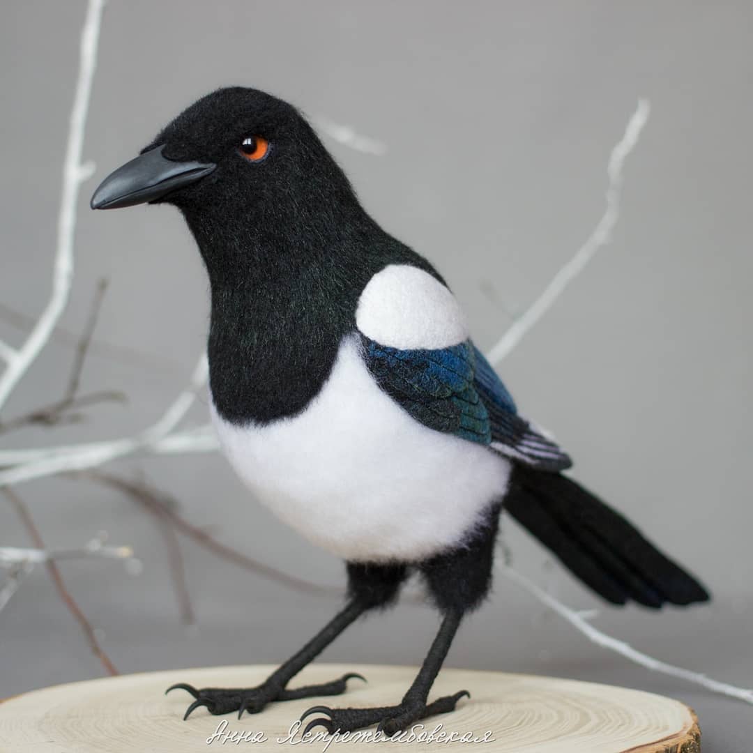 ตุ๊กคาใยขนแกะ