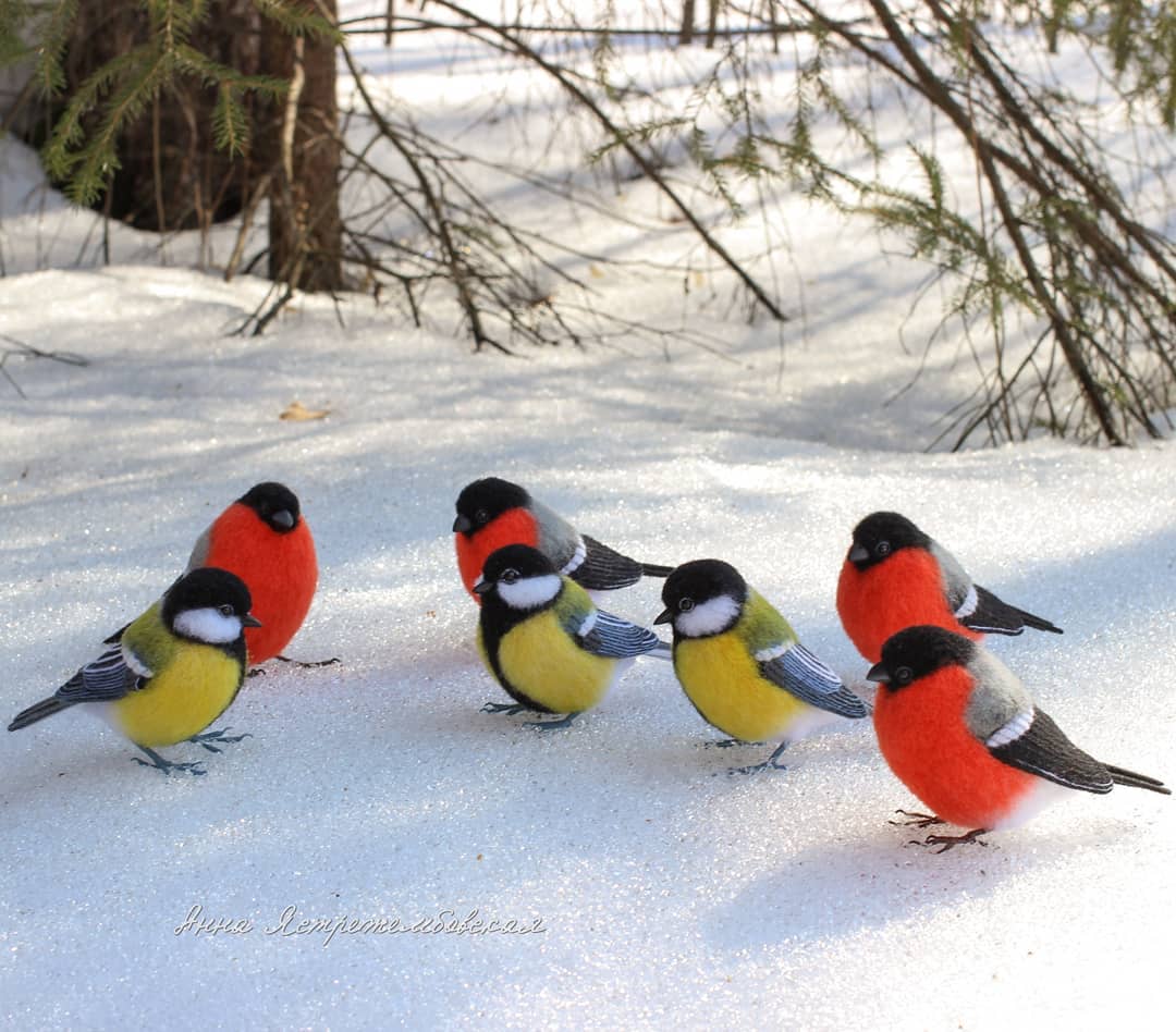 ตุ๊กคาใยขนแกะ