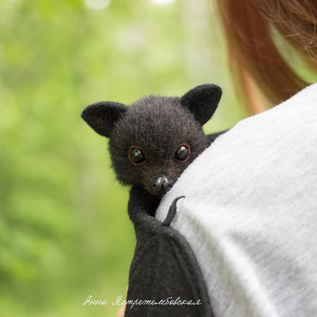 ตุ๊กคาใยขนแกะ