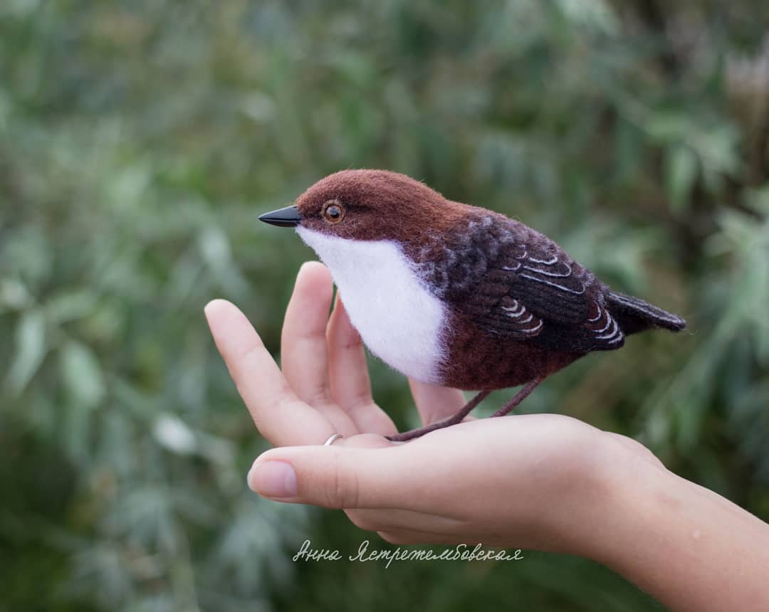 ตุ๊กคาใยขนแกะ