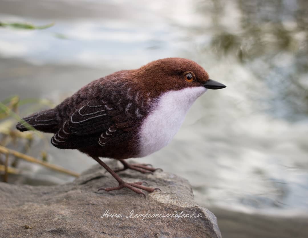 ตุ๊กคาใยขนแกะ