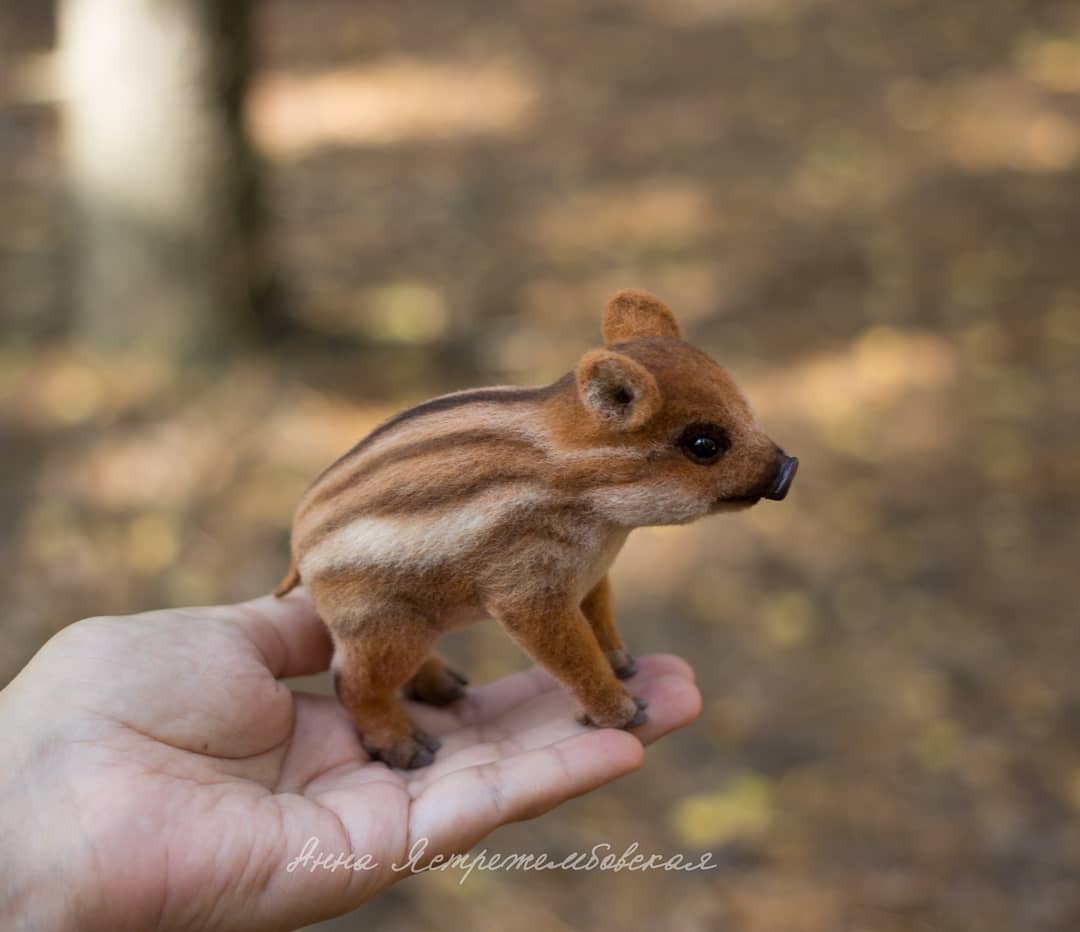 ตุ๊กคาใยขนแกะ