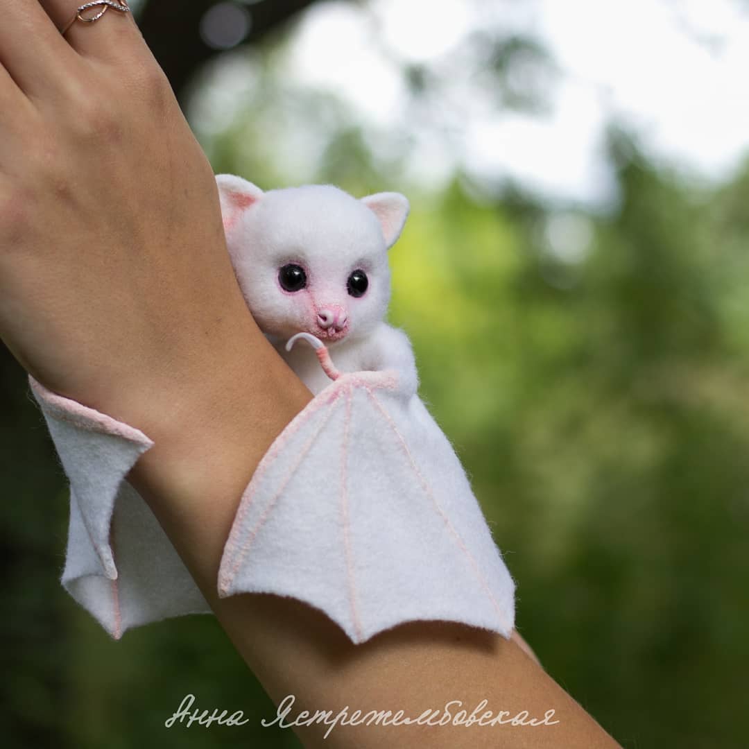 ตุ๊กคาใยขนแกะ