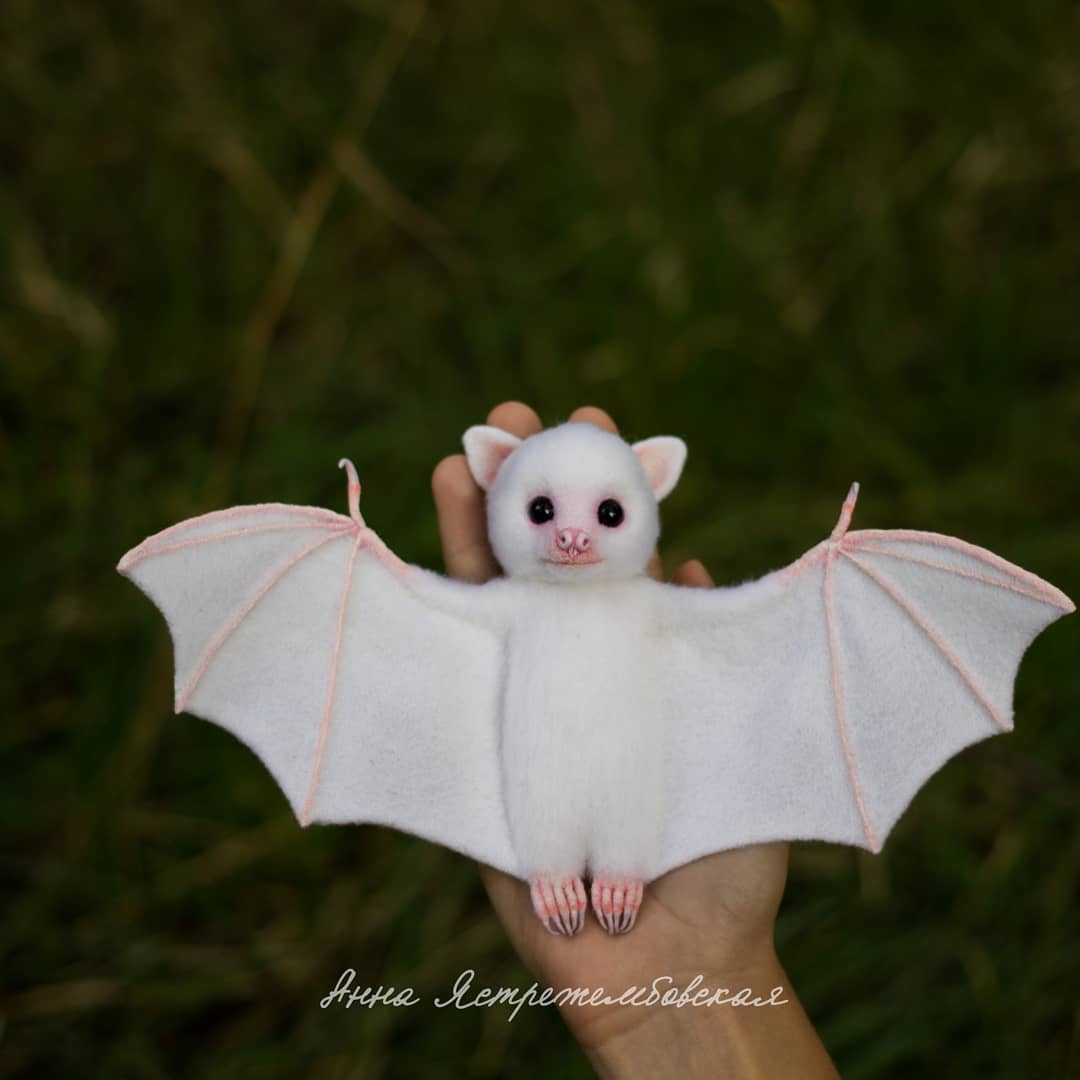 ตุ๊กคาใยขนแกะ