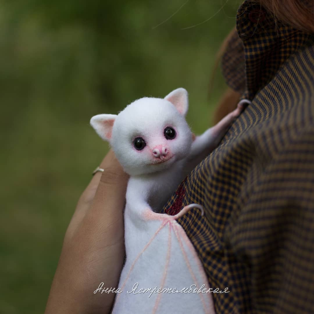 ตุ๊กคาใยขนแกะ