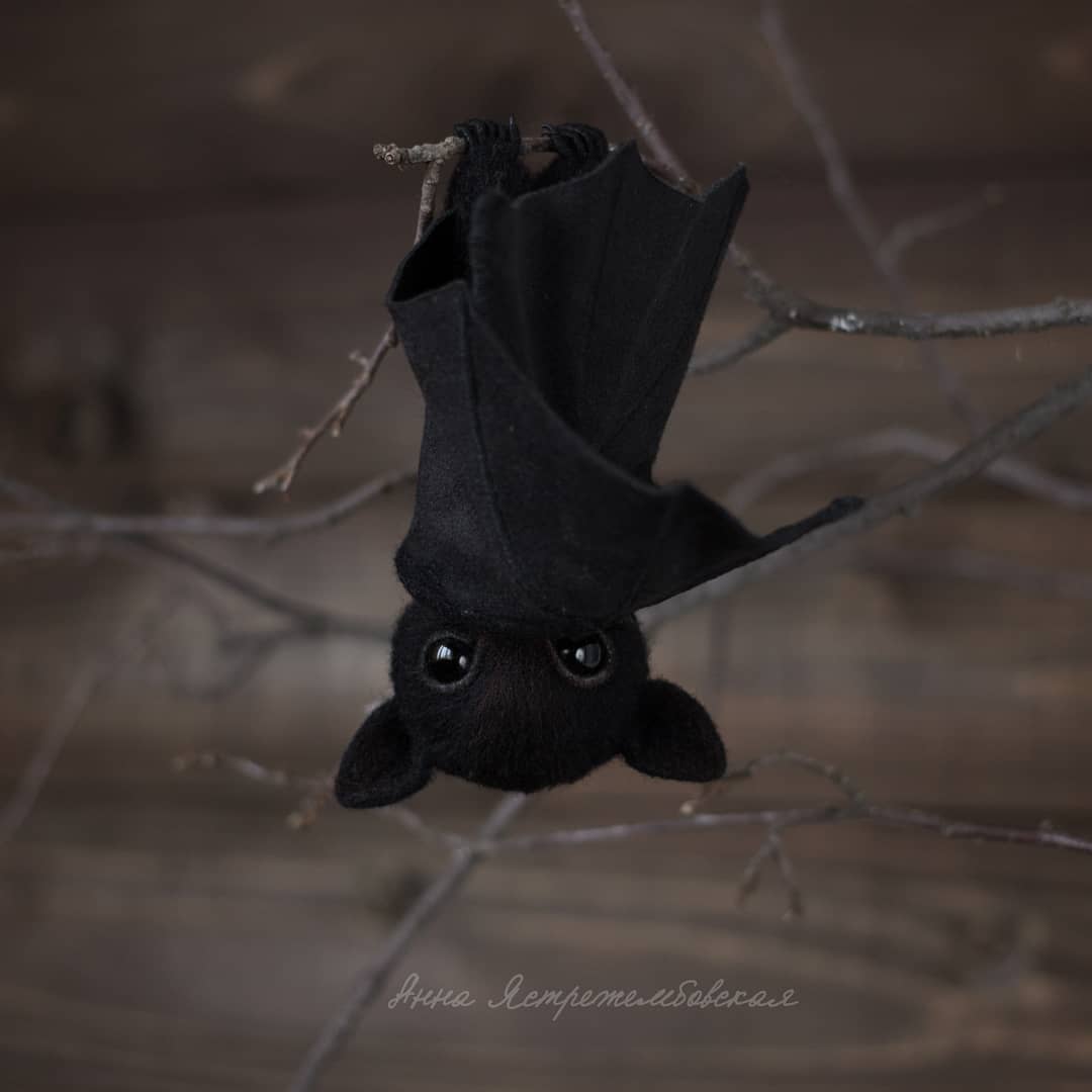 ตุ๊กคาใยขนแกะ