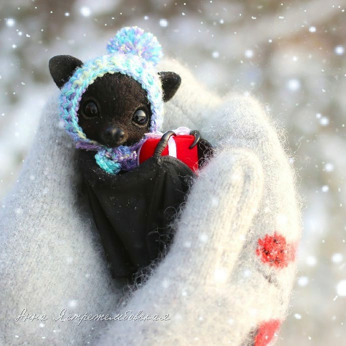 ตุ๊กคาใยขนแกะ