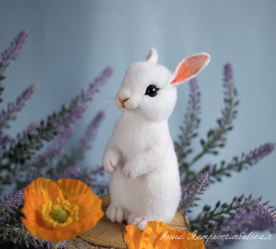 ตุ๊กคาใยขนแกะ