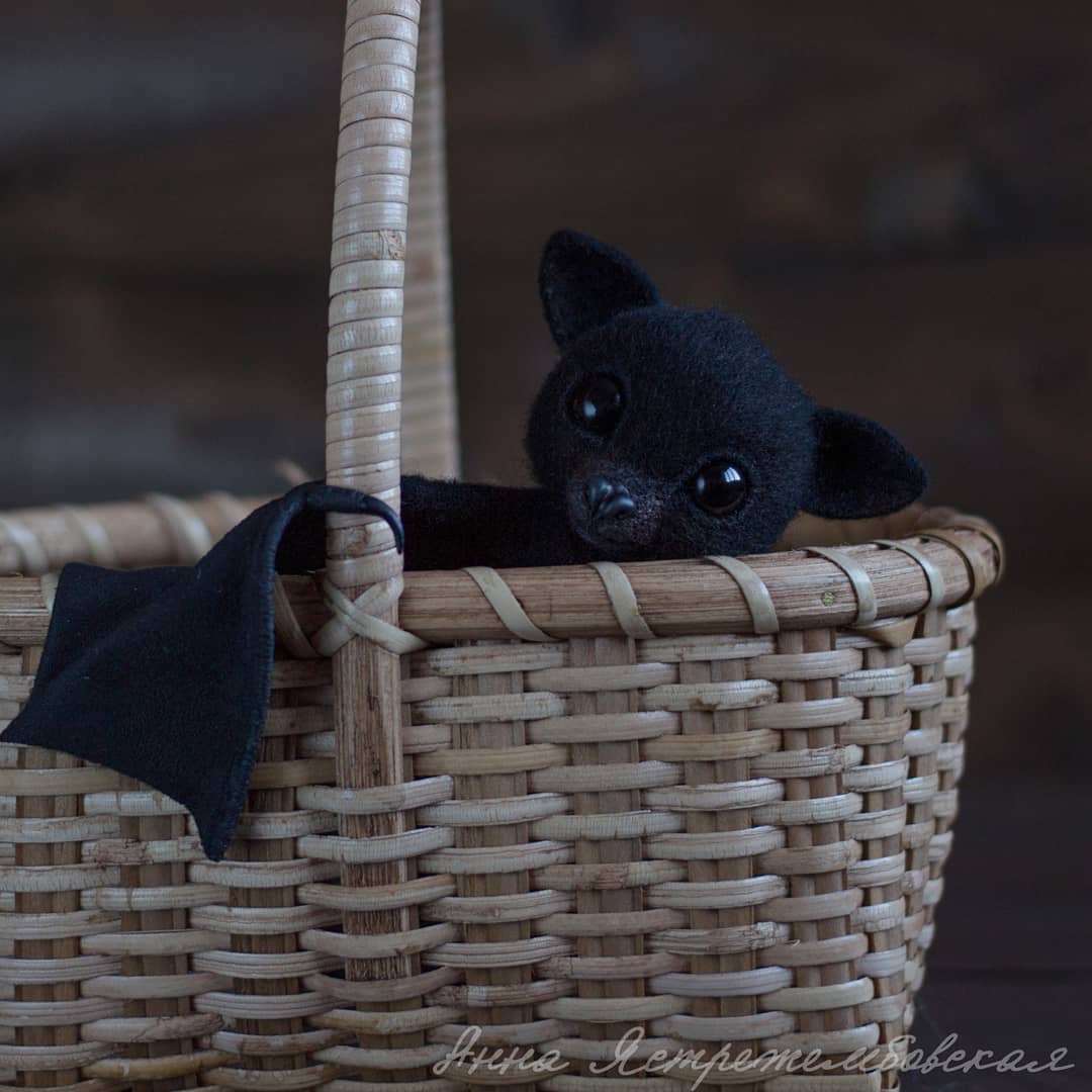 ตุ๊กคาใยขนแกะ