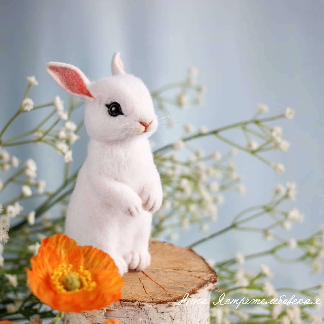 ตุ๊กคาใยขนแกะ