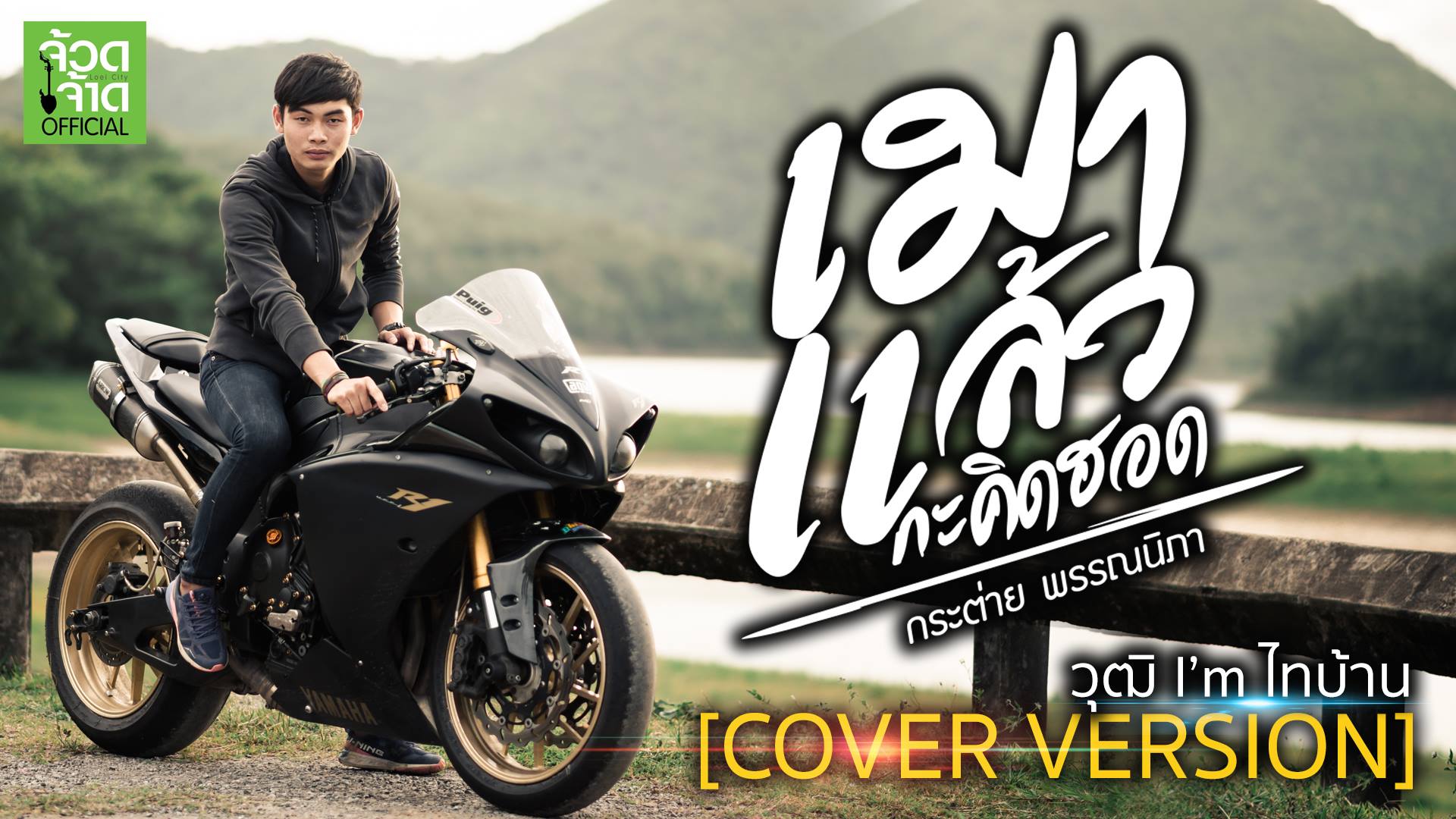 วุฒิ ไทบ้าน