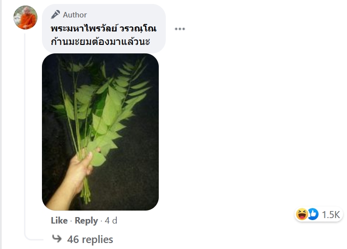 เณรเล่นน้ำฝน