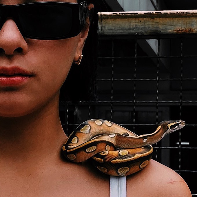 เฟิร์น ศุภนารี