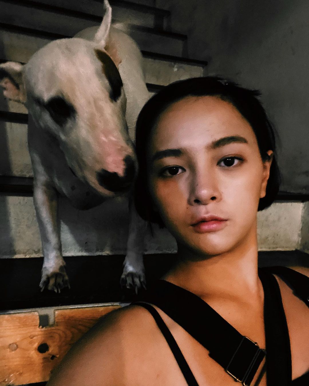 เฟิร์น ศุภนารี