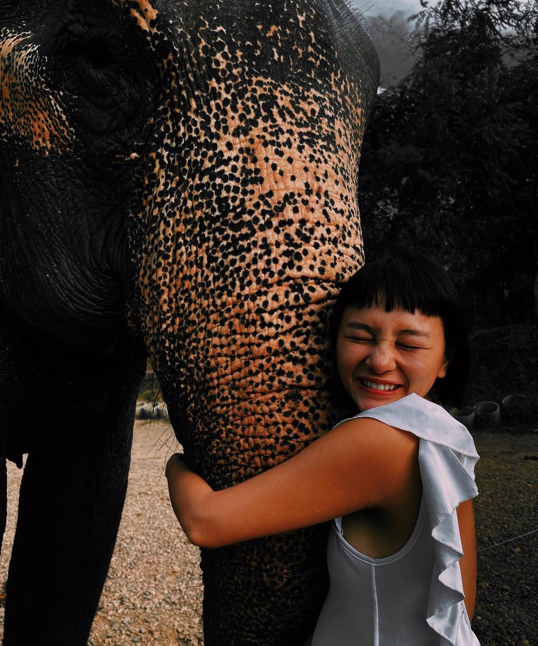 เฟิร์น ศุภนารี