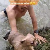 ช่วยหมาตกน้ำ