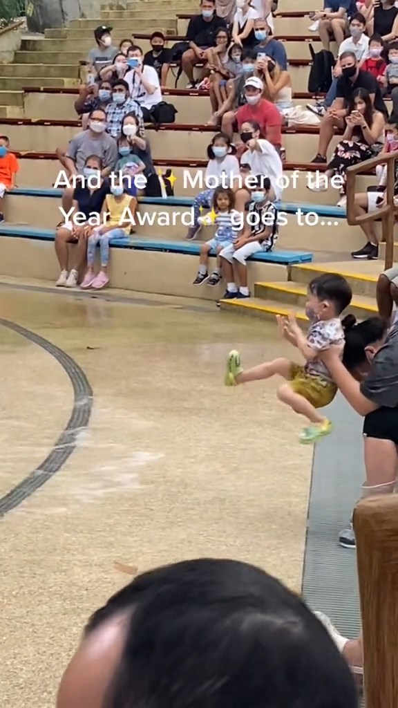 โชว์สิงโตทะเล