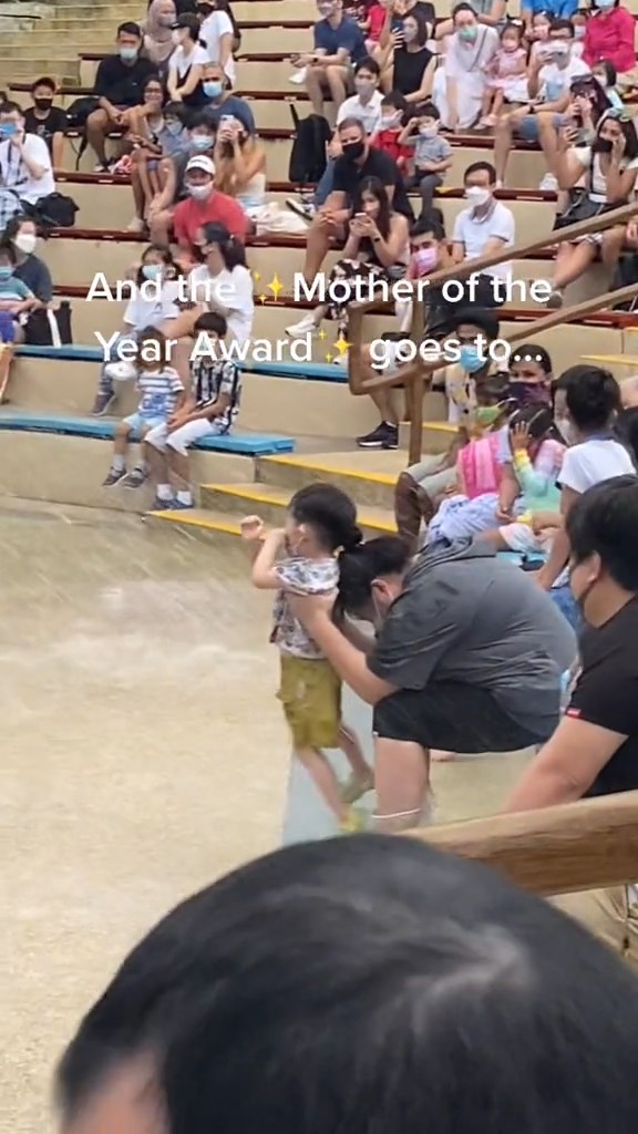 โชว์สิงโตทะเล