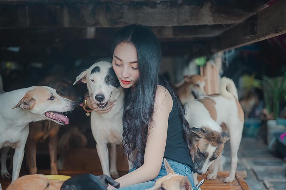 ผู้กองลูกตาล