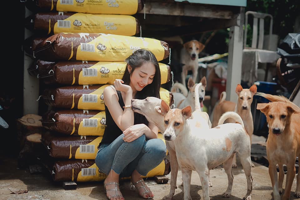 ผู้กองลูกตาล