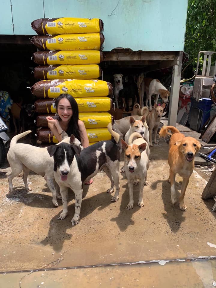 ผู้กองลูกตาล