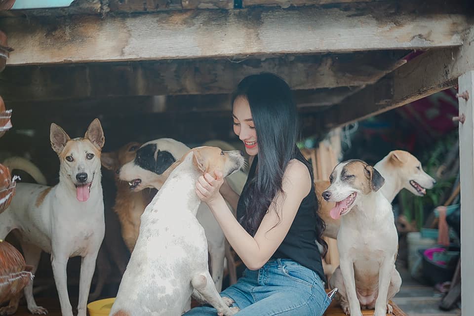 ผู้กองลูกตาล