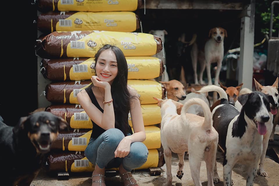 ผู้กองลูกตาล