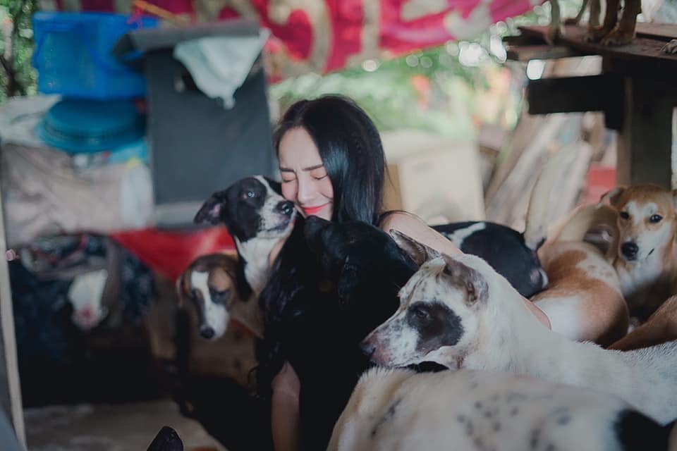 ผู้กองลูกตาล