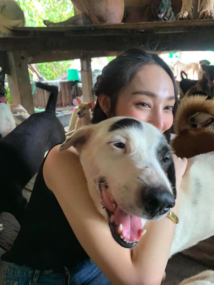 ผู้กองลูกตาล