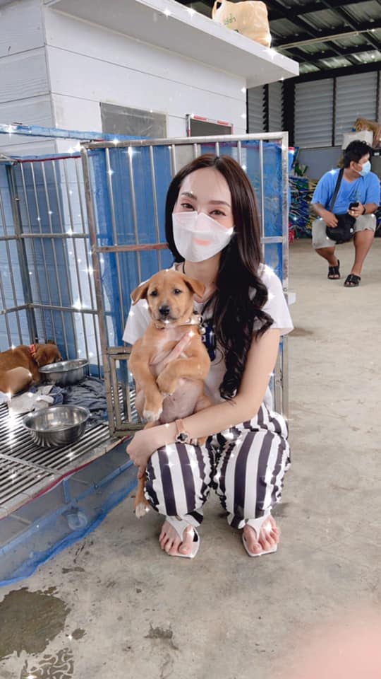 ผู้กองลูกตาล