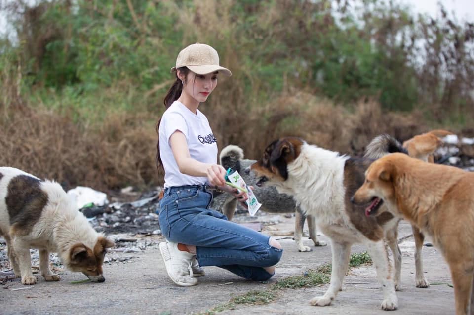 ผู้กองลูกตาล