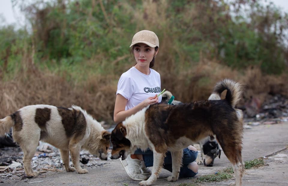 ผู้กองลูกตาล