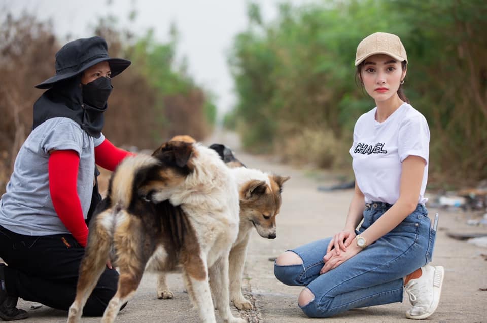 ผู้กองลูกตาล