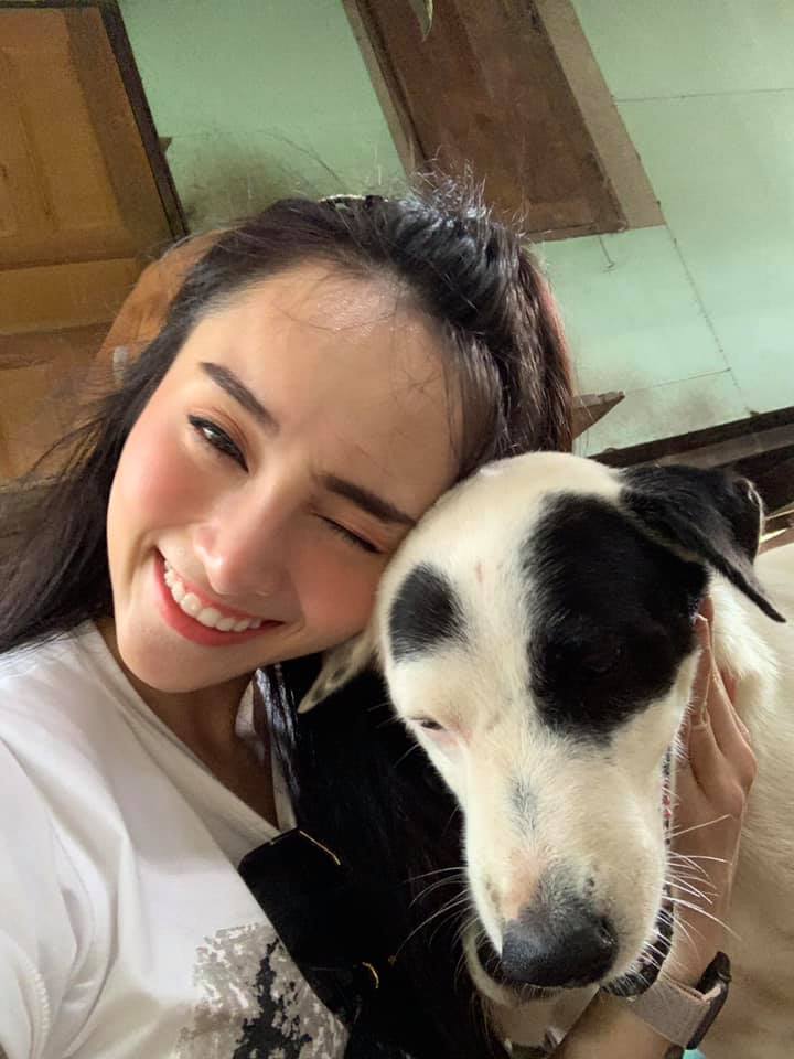 ผู้กองลูกตาล