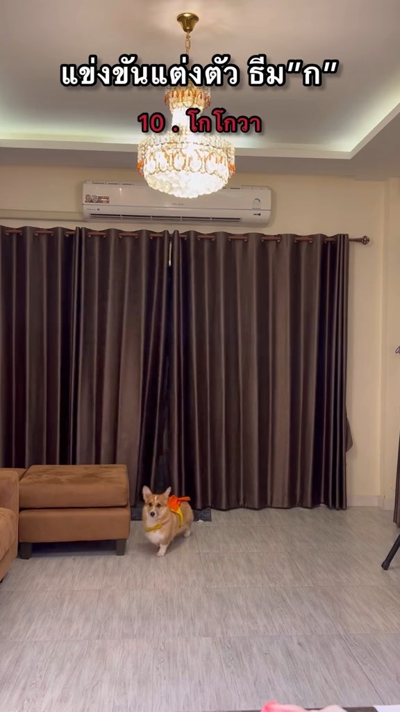 ปาร์ตี้ธีม ก.