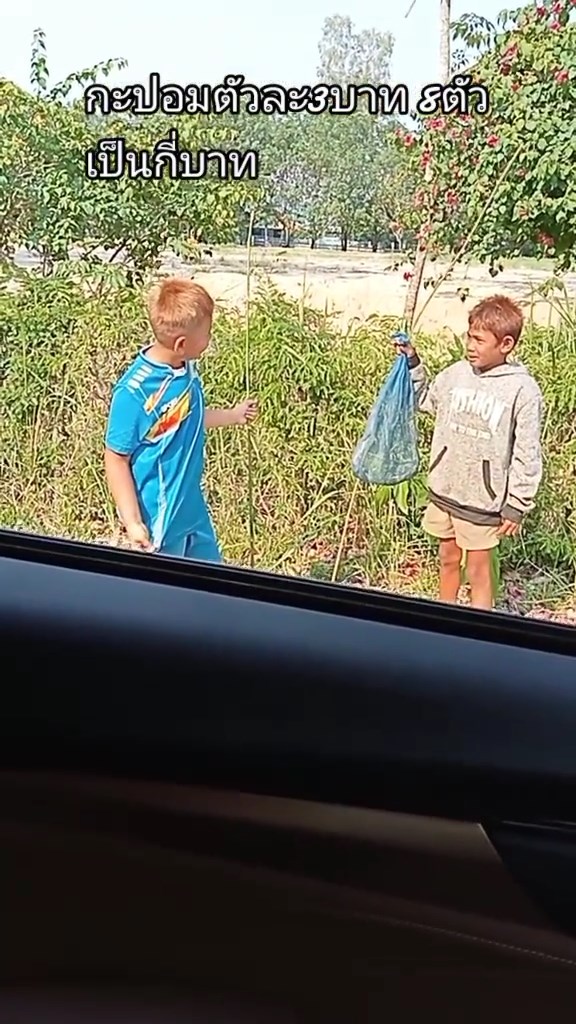 ขายกะปอมครู