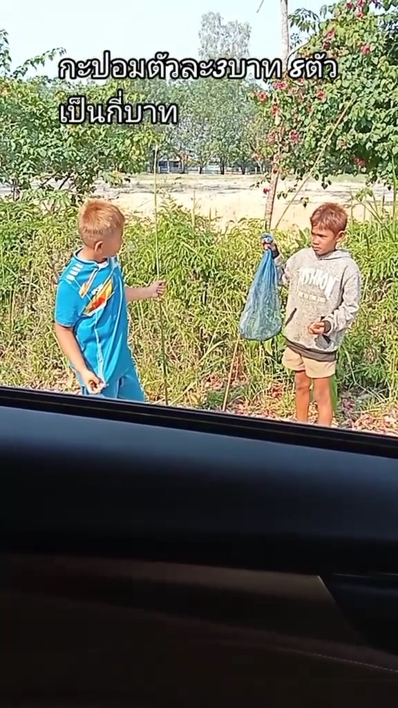 ขายกะปอมครู