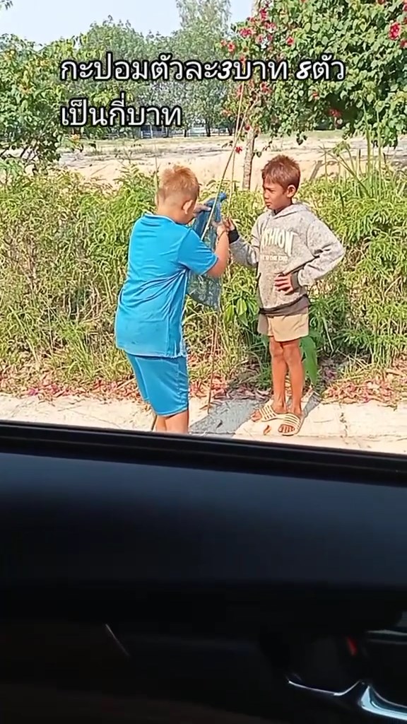 ขายกะปอมครู