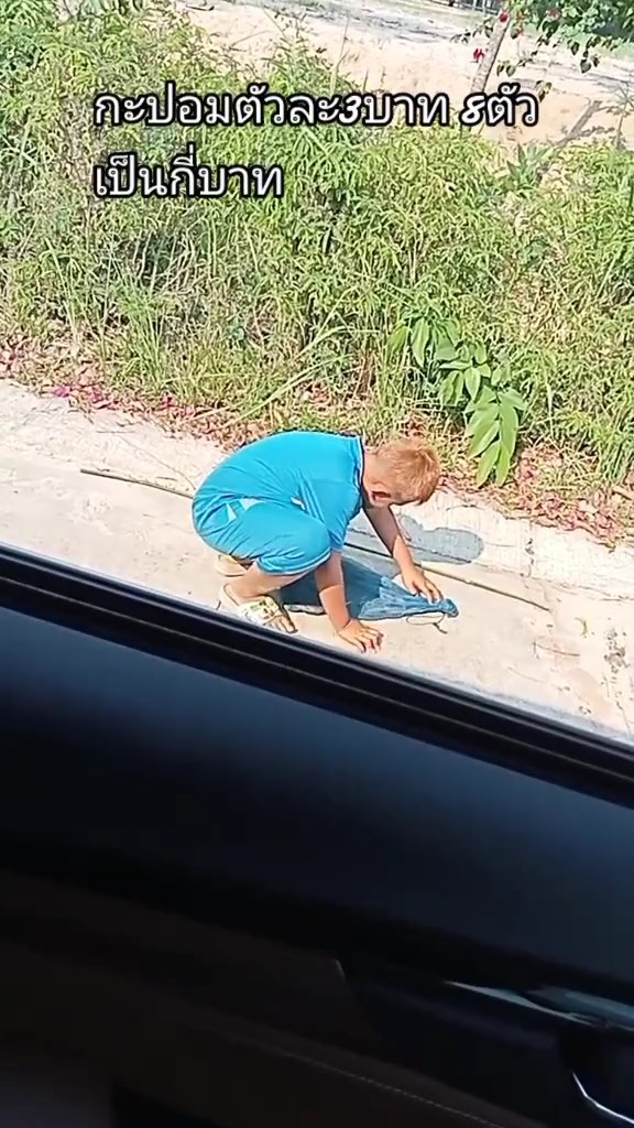 ขายกะปอมครู