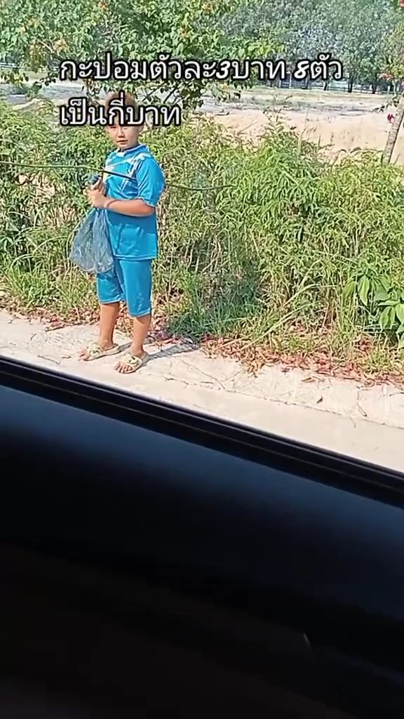 ขายกะปอมครู