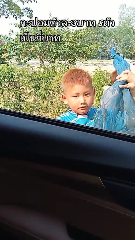 ขายกะปอมครู