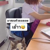 อุ้มหมามาให้ครู