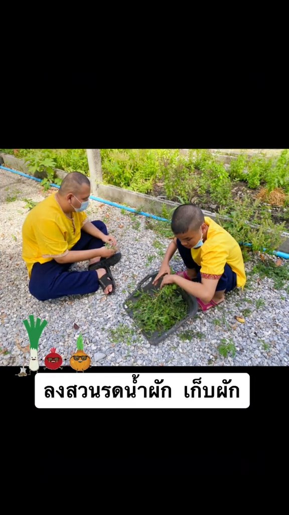 นักเรียนตาบอด