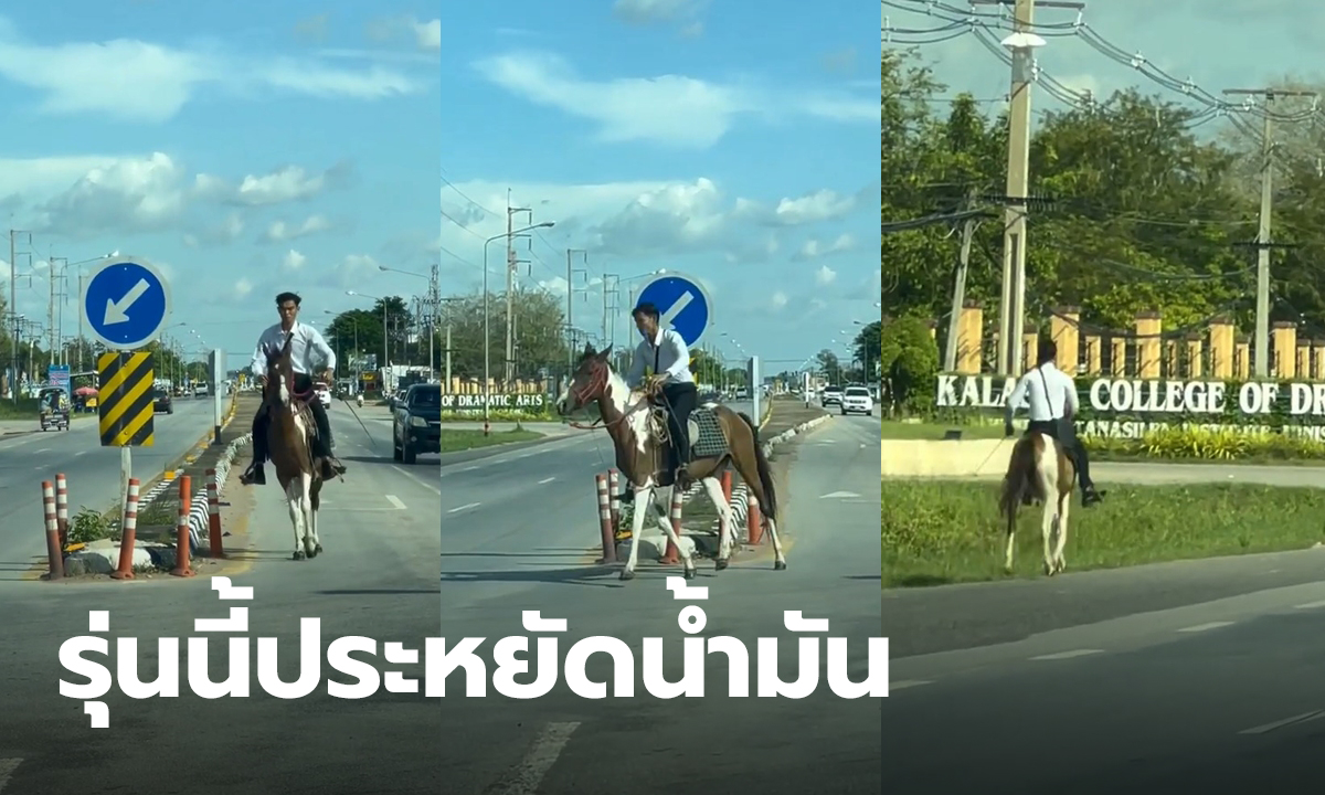 ขี่ม้าไปเรียน