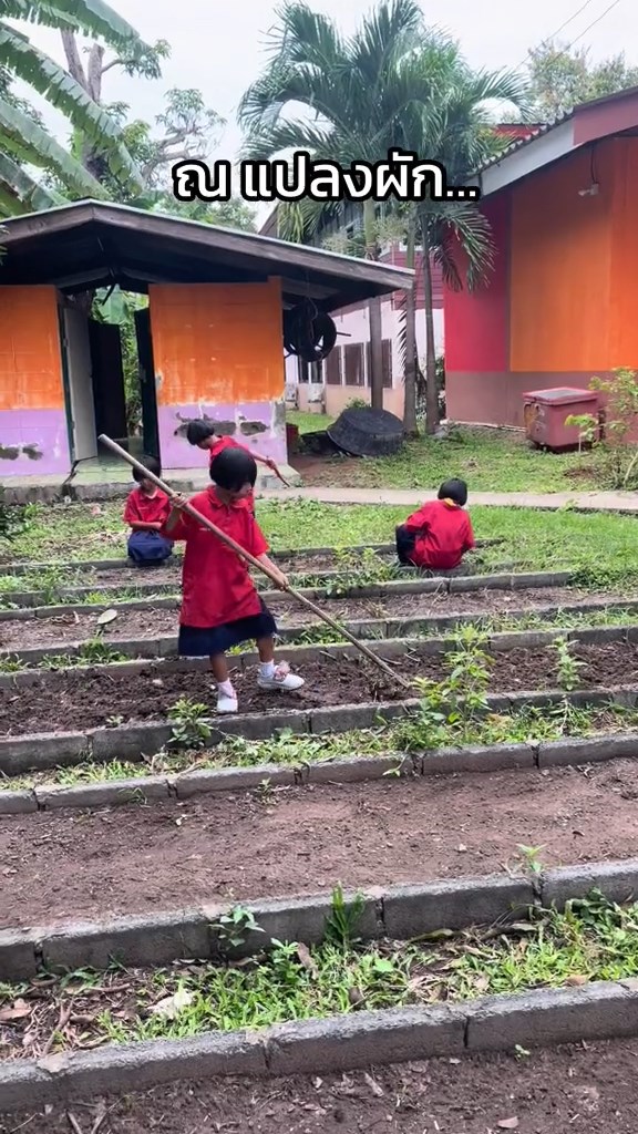 แปลงผักนักเรียน