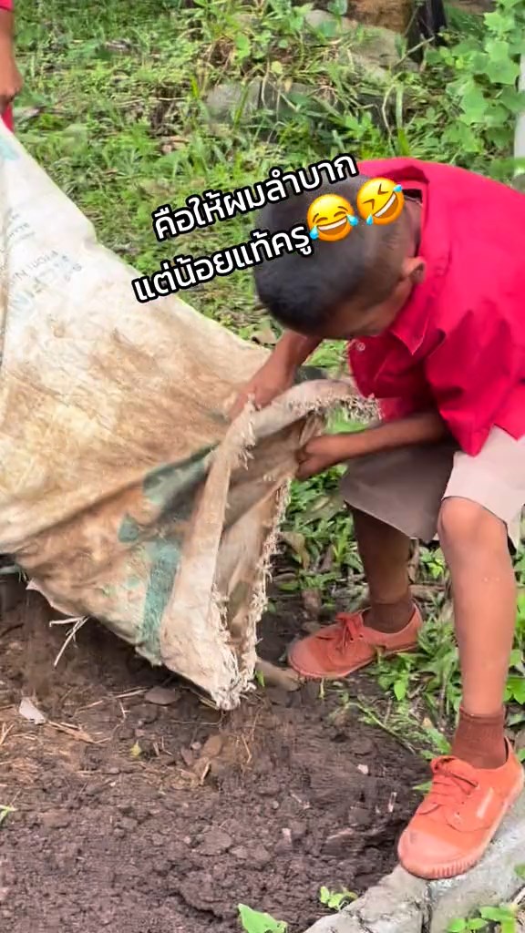 แปลงผักนักเรียน