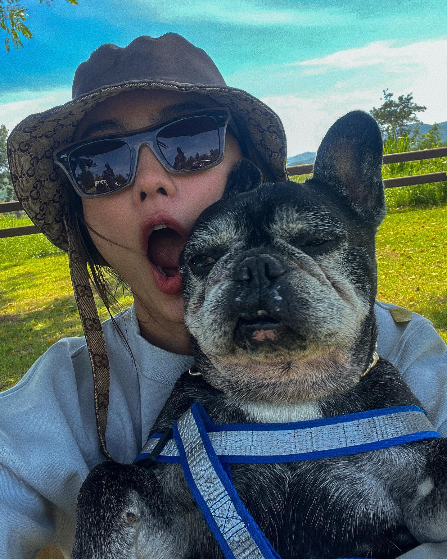 โยเกิร์ต ณัฐฐชาช์